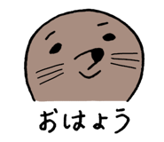 845050593