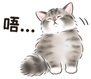 845050650