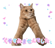 845050767