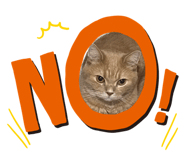 845050768
