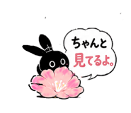 845050787