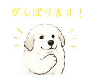 845050974