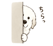845050980
