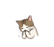 845051135