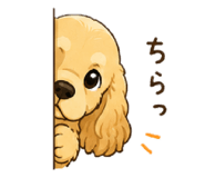 845051161