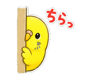 845052464