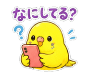 845052474