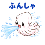 845052706
