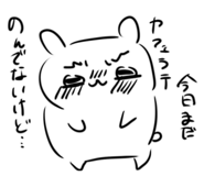 845053075