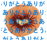 845053147