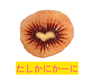 845053151