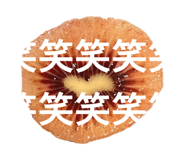 845053153