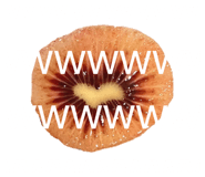845053154