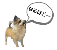845053253