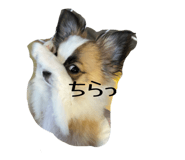845053261