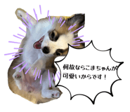 845053264
