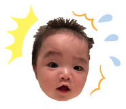 845053294
