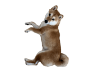 845053323