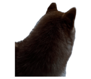 845053324