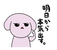 845053428