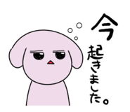 845053434