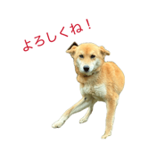 845053540