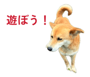 845053543