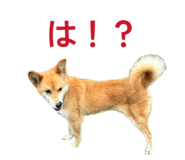 845053548