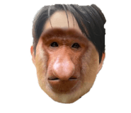 845053569
