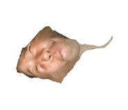 845053576