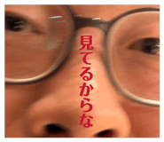 845053815