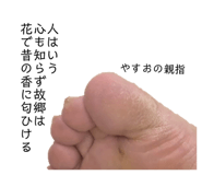 845053821