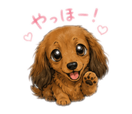 845054131