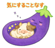 845054492