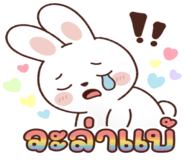 845055004