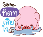 845056163