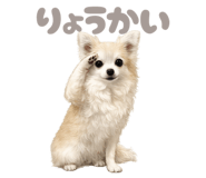 845058706