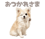 845058710