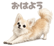 845058711