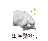 845059714