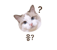 845059717