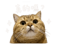 845059758
