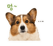 845059799