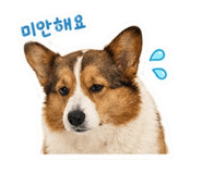 845059808