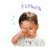 845060065