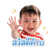 845060113