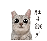 845060439