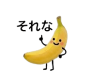 845060973