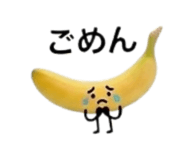 845060975
