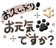 845061851
